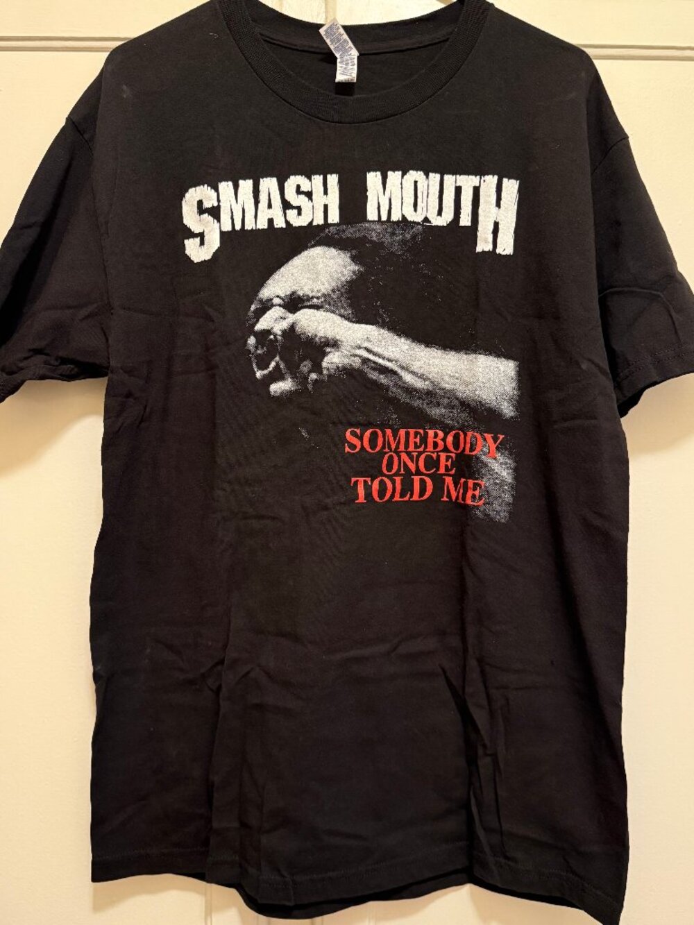 Methsyndicate Smash Mouth/ Pantera Parody Alstyle Size L